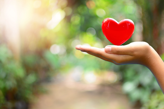The Philanthropy Sector Pledge