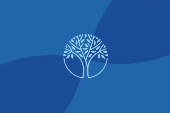 Schusterman tree logo on blue background