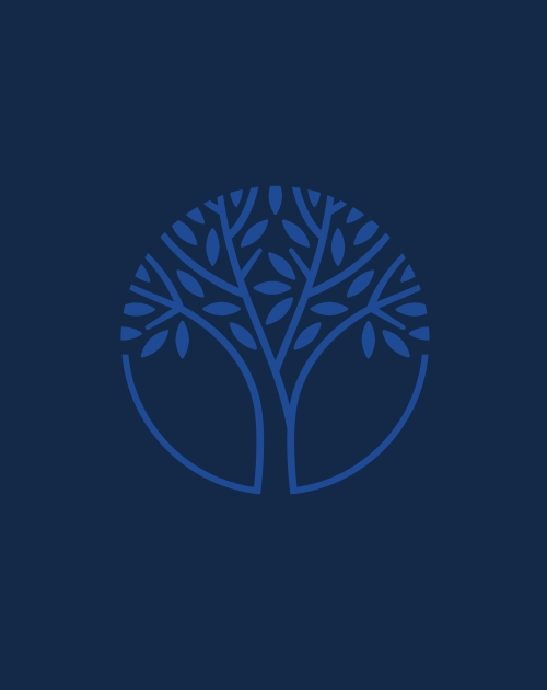Blue Schusterman Family Philanthropies tree logo inside a circle on a dark blue background.