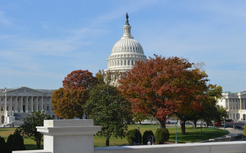Understanding the CARES Act and SBA Loans
