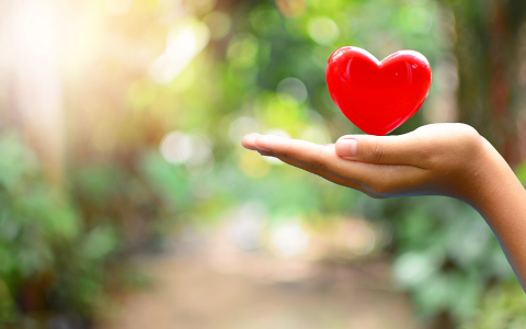 The Philanthropy Sector Pledge