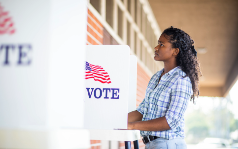 Fighting efforts to undermine our political system